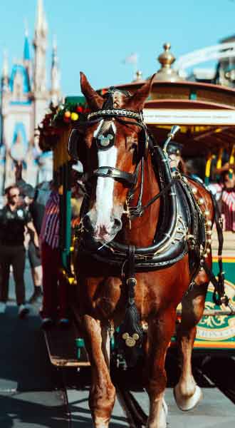 disney-horse-carriage