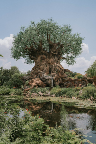 disney animal kingdom tree