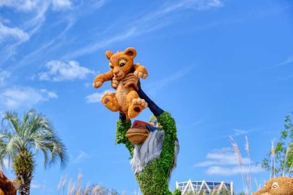 rafiki holding simba, epcot flower show, disney, orlando